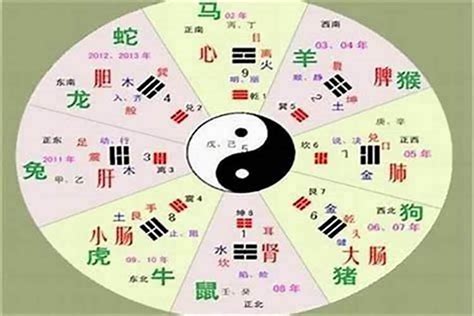 琛 五行|琛的五行属性